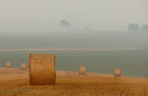 F12Bet Código de Bônus 2022 Mahabhar GBWhatsApp: Ative e Ganhe!